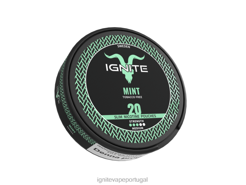 IGNITE bolsas de nicotina mirtilo 04RDB165 | Ignite Vape Valor